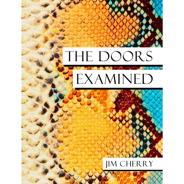 Deconstructing Doors Songs With The Author Of The Doors Examined