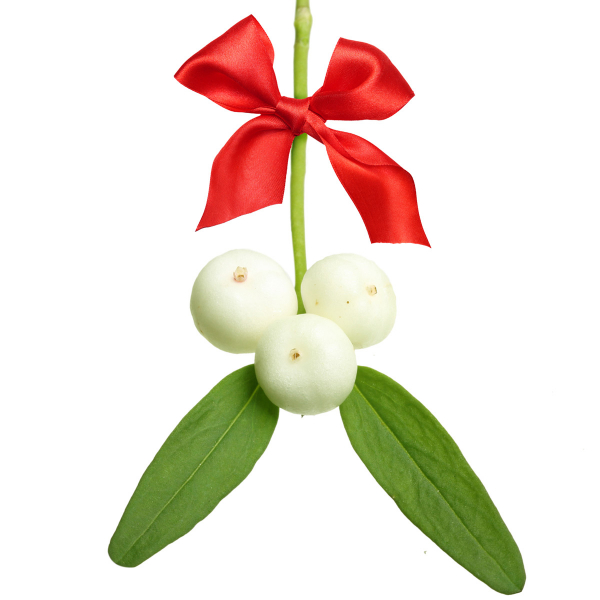 Why Do They Still Sing About Mistletoe?