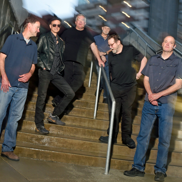 Steadman's Wake by The Connells Track By Track